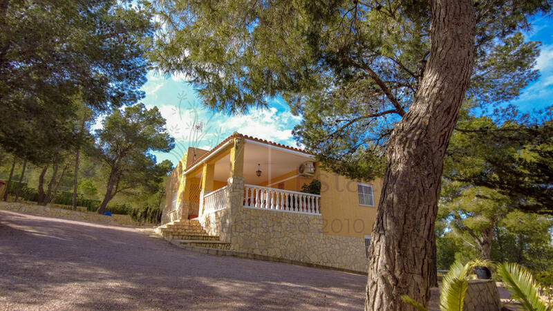 Villa à vendre dans Elda, Alicante