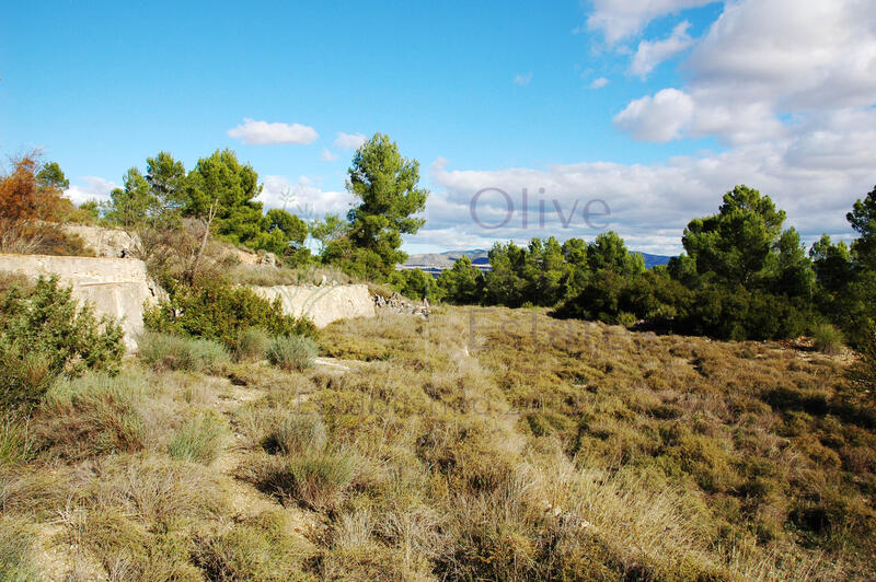 3 bedroom Country House for sale