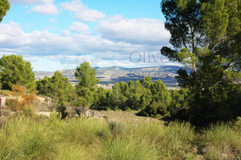 3 bedroom Country House for sale