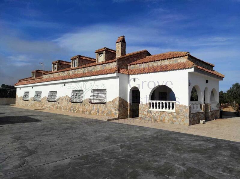 вилла продается в Sax, Alicante