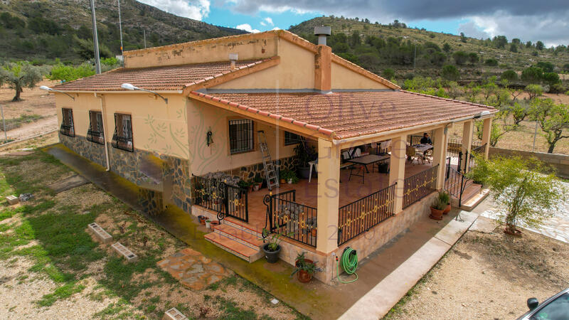 Villa for sale in Sax, Alicante