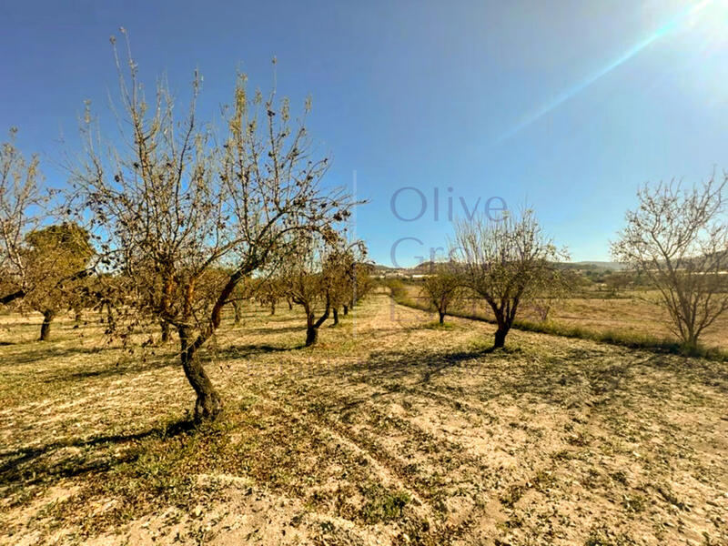 1 bedroom Country House for sale