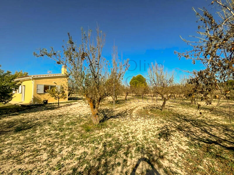1 bedroom Country House for sale