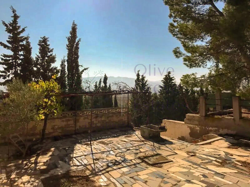 7 Cuarto Casa de Campo en venta