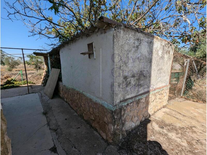 4 Cuarto Casa de Campo en venta