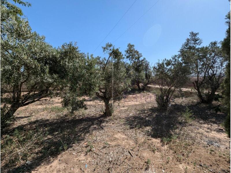 4 Cuarto Casa de Campo en venta
