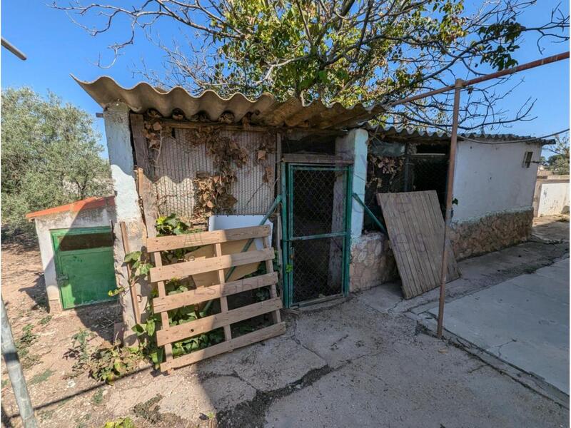 4 Cuarto Casa de Campo en venta