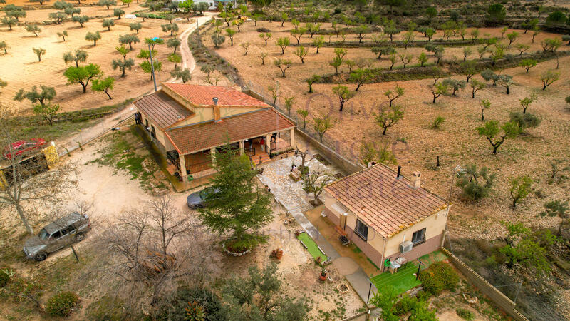 Villa à vendre dans Sax, Alicante