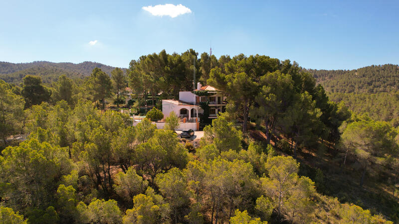 Villa à vendre dans Ibi, Alicante