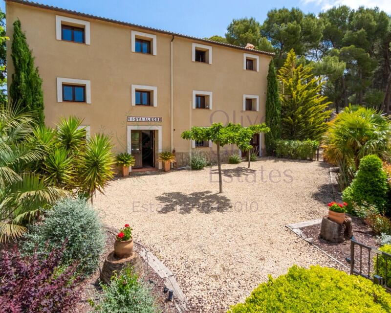 Casa de Campo en venta en Ibi, Alicante