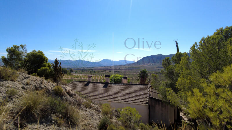 7 bedroom Country House for sale