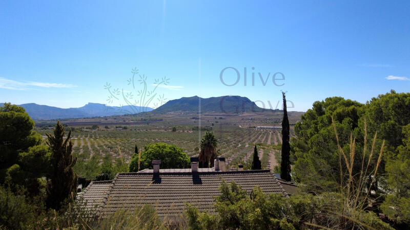 7 bedroom Country House for sale