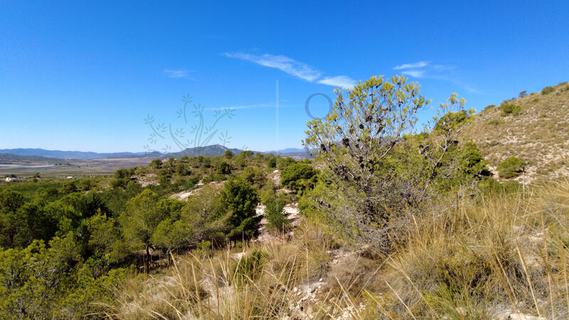 7 bedroom Country House for sale