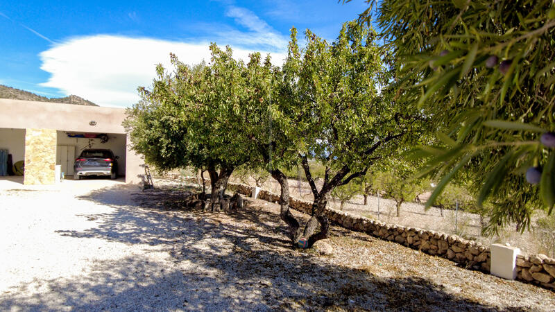 4 soverom Villa til salgs 4 soverom Villa til salgs