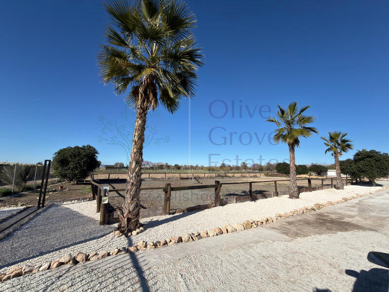 2 soverom Herregård til salgs