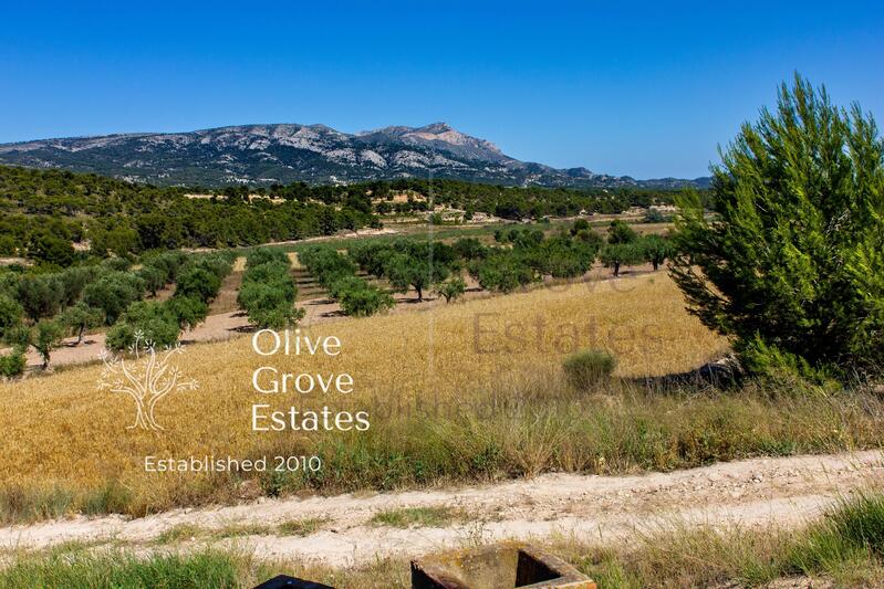 10 bedroom Country House for sale 10 bedroom Country House for sale