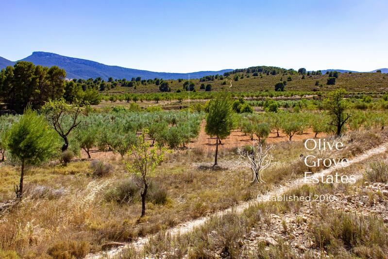 10 bedroom Country House for sale 10 bedroom Country House for sale