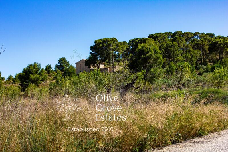 10 bedroom Country House for sale 10 bedroom Country House for sale