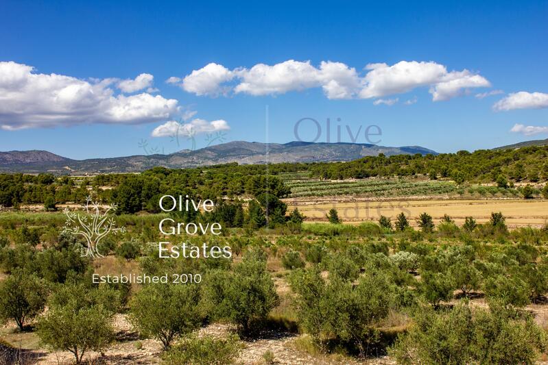 10 bedroom Country House for sale 10 bedroom Country House for sale