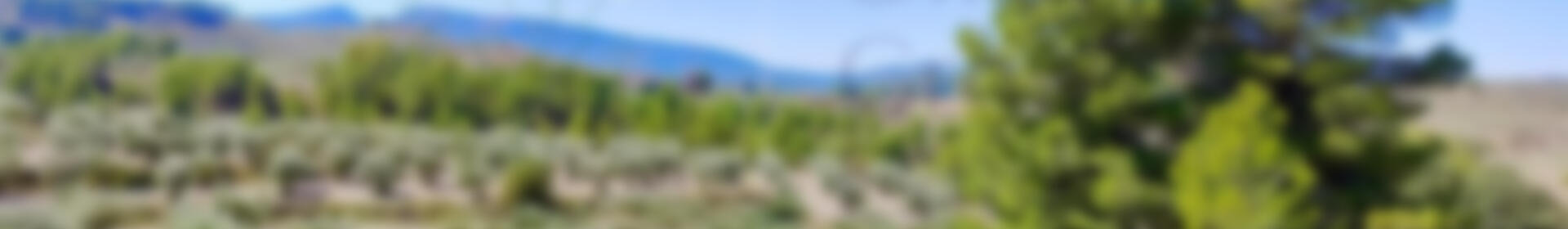 3 bedroom Country House for sale