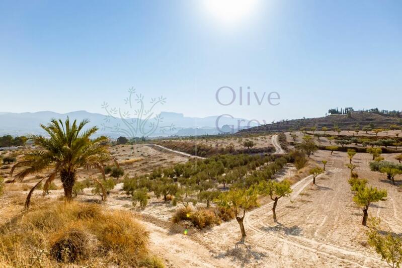 5 slaapkamer Landhuis Te koop