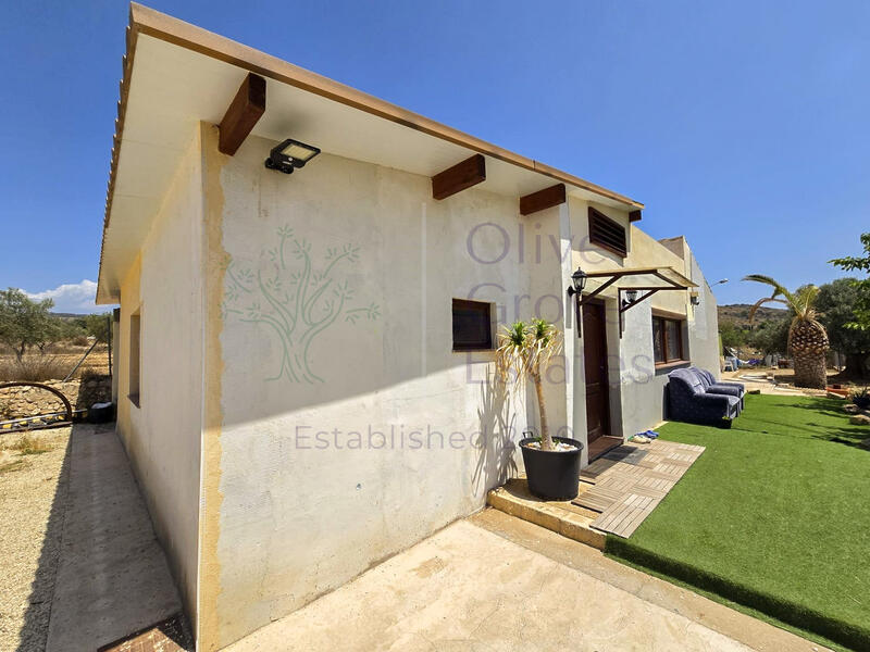 Landsted til salg i Sax, Alicante Landsted til salg i Sax, Alicante