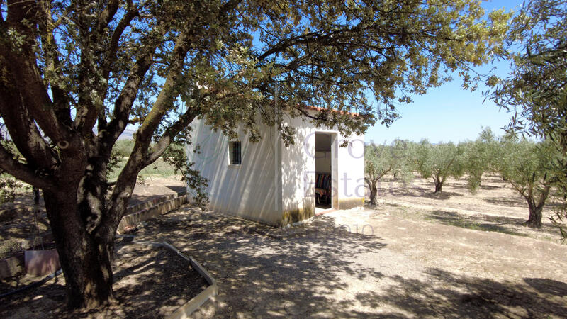 Деревенский Дом продается в Caudete, Albacete Деревенский Дом продается в Caudete, Albacete