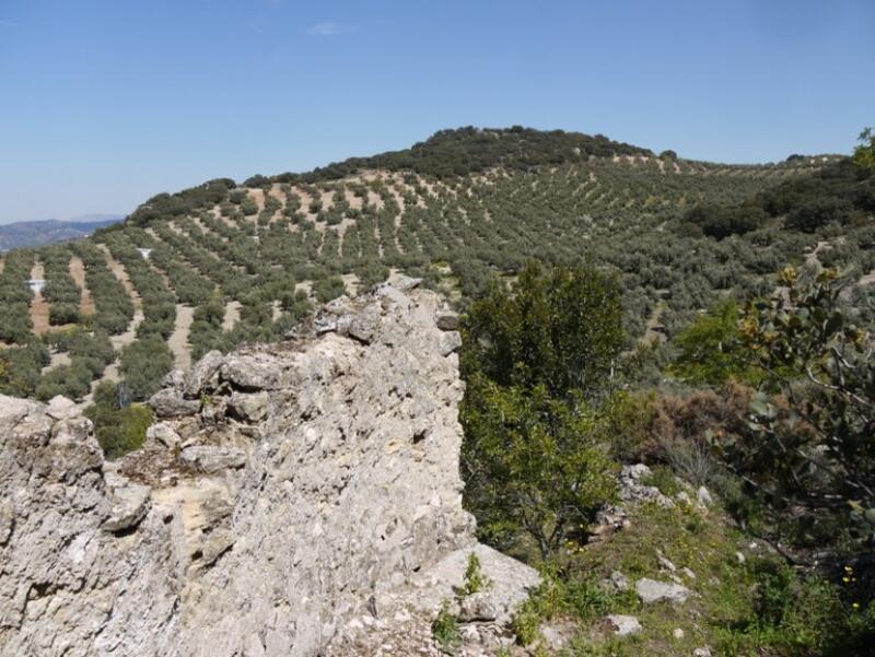 Terrenos en venta