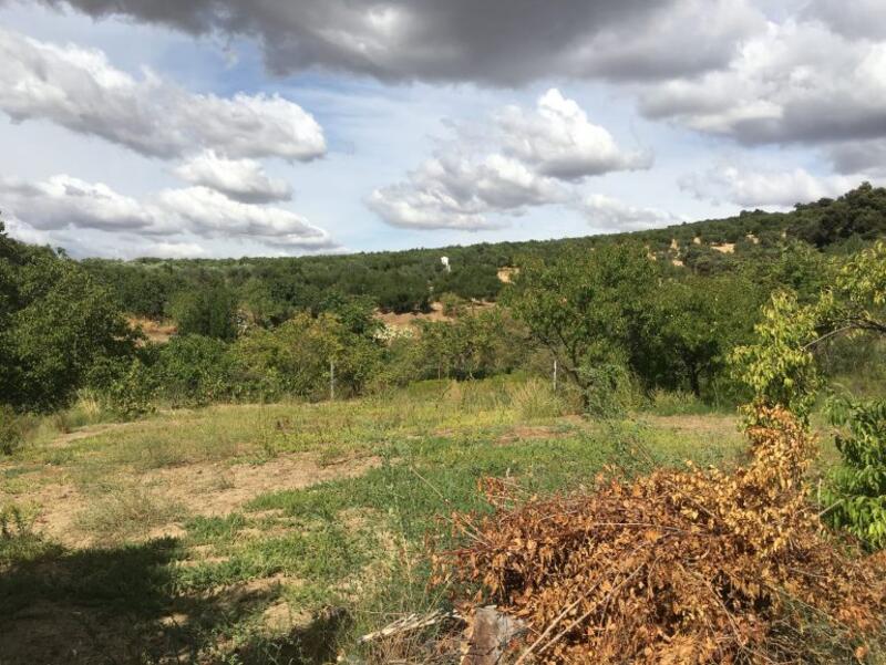 3 chambre Auberge à vendre