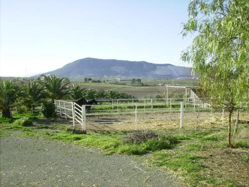 4 Cuarto Casa Cueva en venta