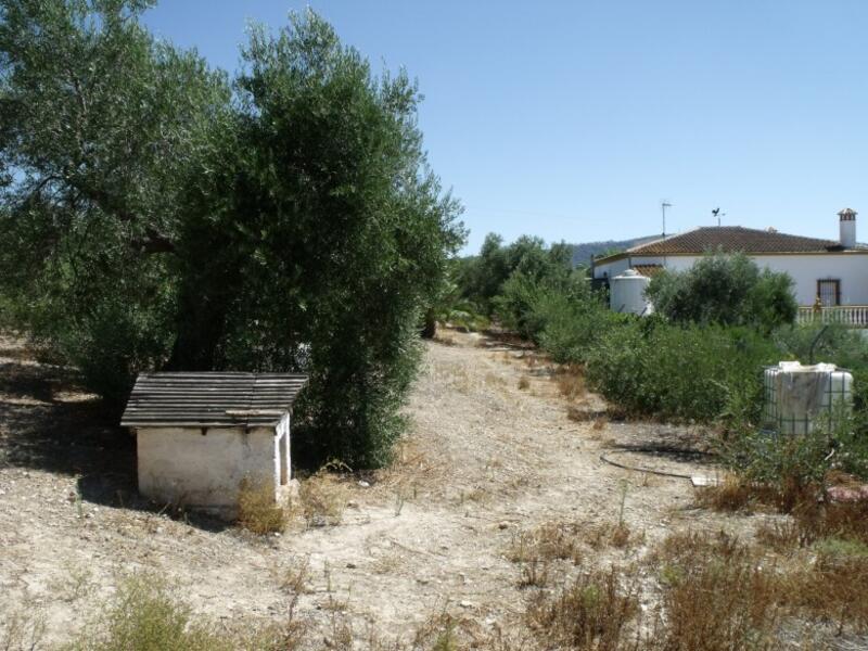 Auberge à vendre