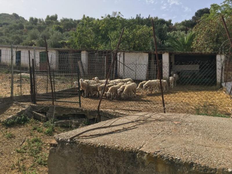 2 slaapkamer Landhuis Te koop