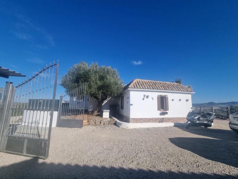 4 Cuarto Villa en venta