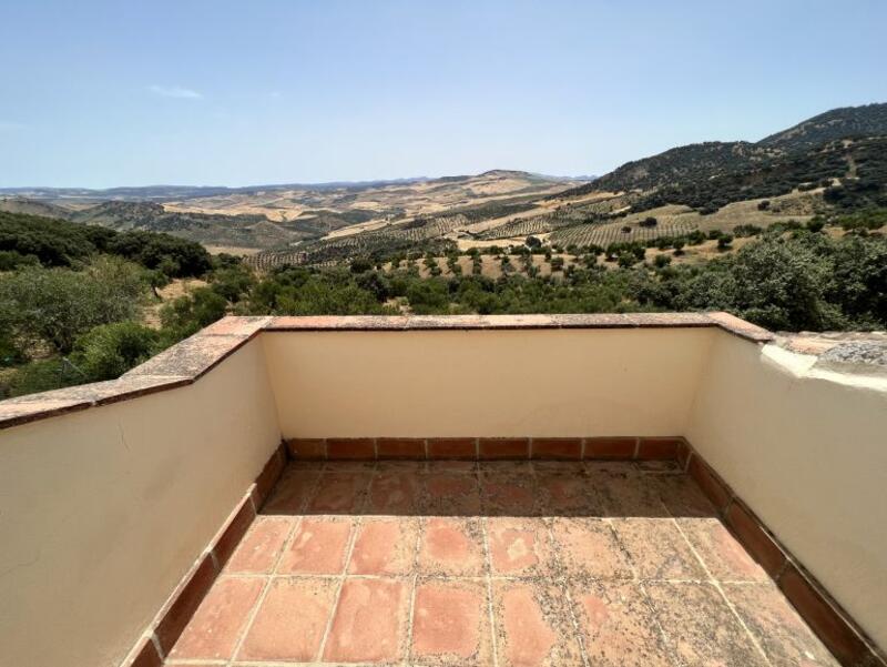 6 Cuarto Casa de Campo en venta