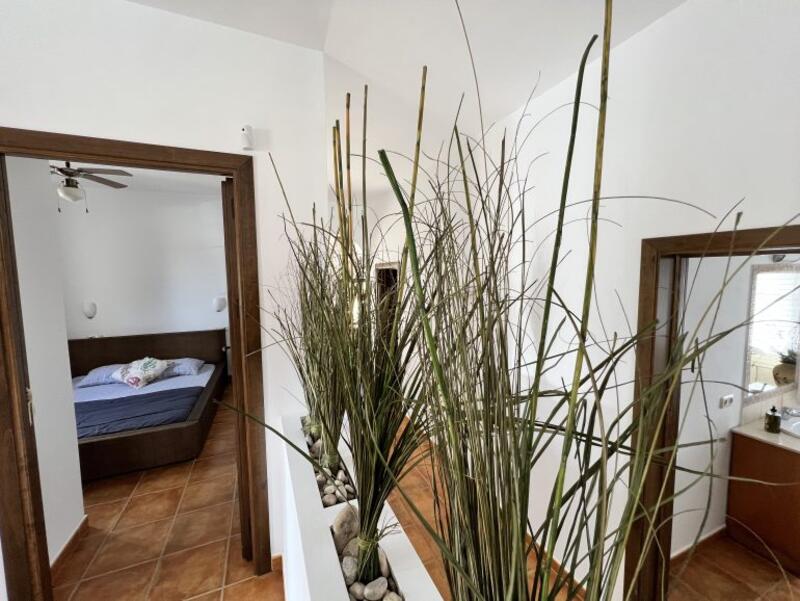 6 Cuarto Casa de Campo en venta
