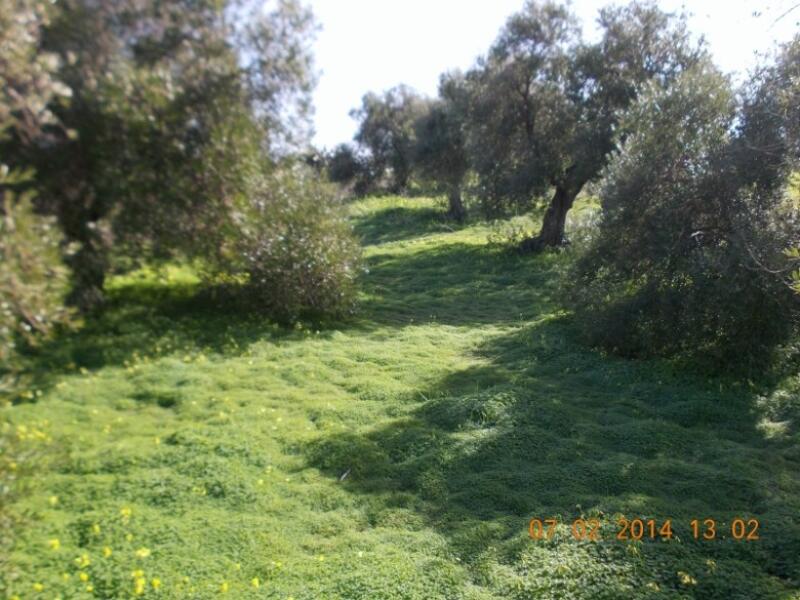 Terrain à vendre