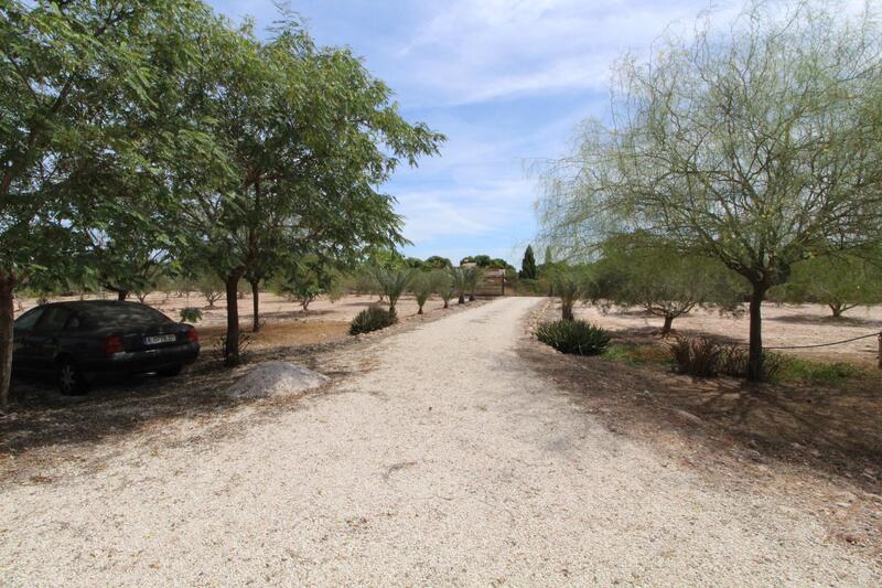 Land for sale in Elx/Elche, Alicante