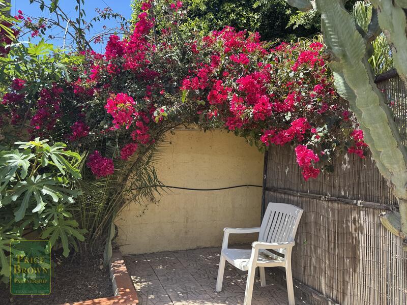 3 Cuarto Villa en venta