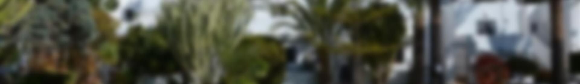 2 Cuarto Apartamento para alquiler a largo plazo