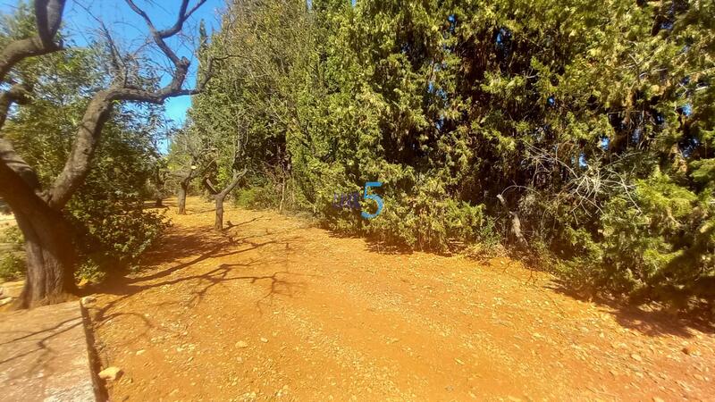 5 bedroom Country House for sale