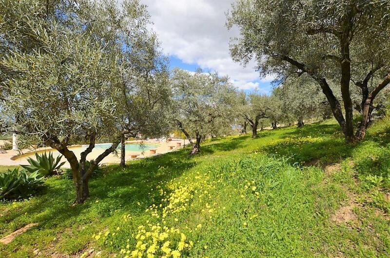 5 soveværelse Landsted til langtidsleje