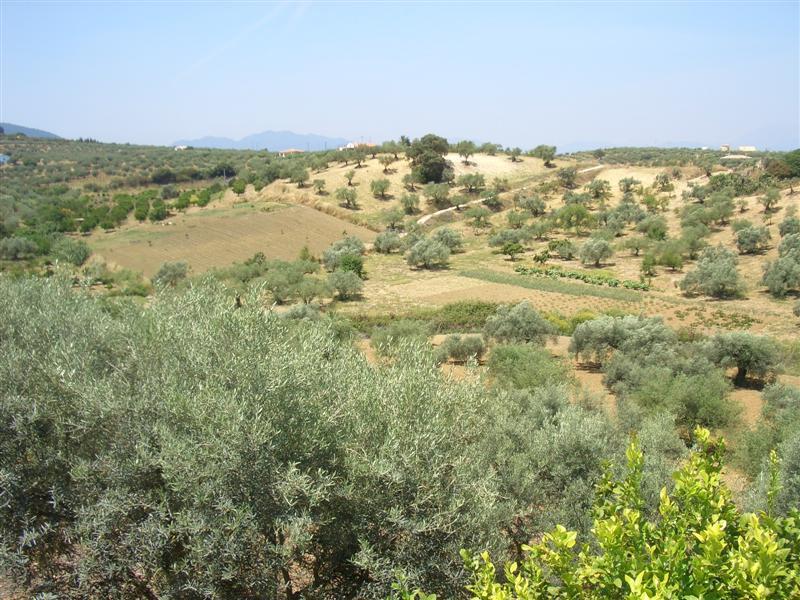 3 soveværelse Landsted til langtidsleje