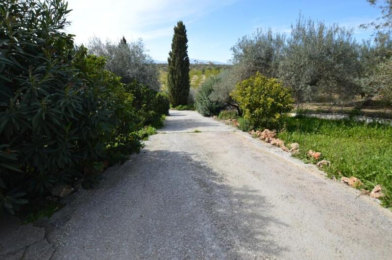 3 soveværelse Villa til langtidsleje