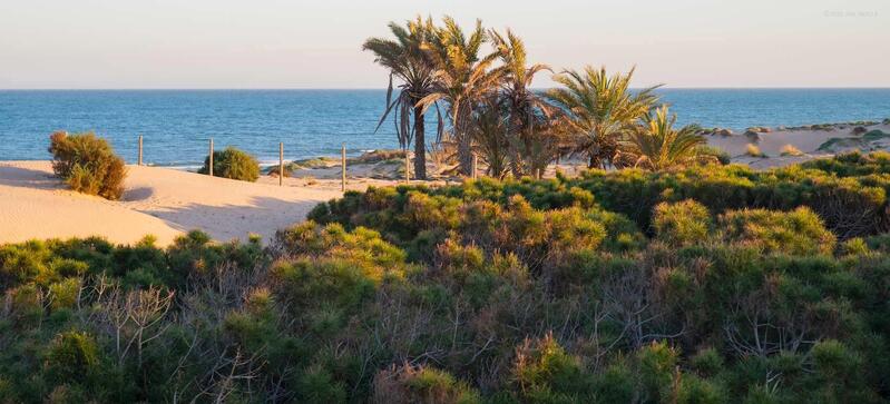 2 soveværelse Lejlighed til salg