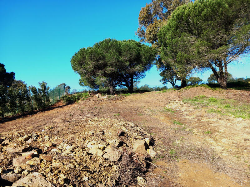 Terrain à vendre