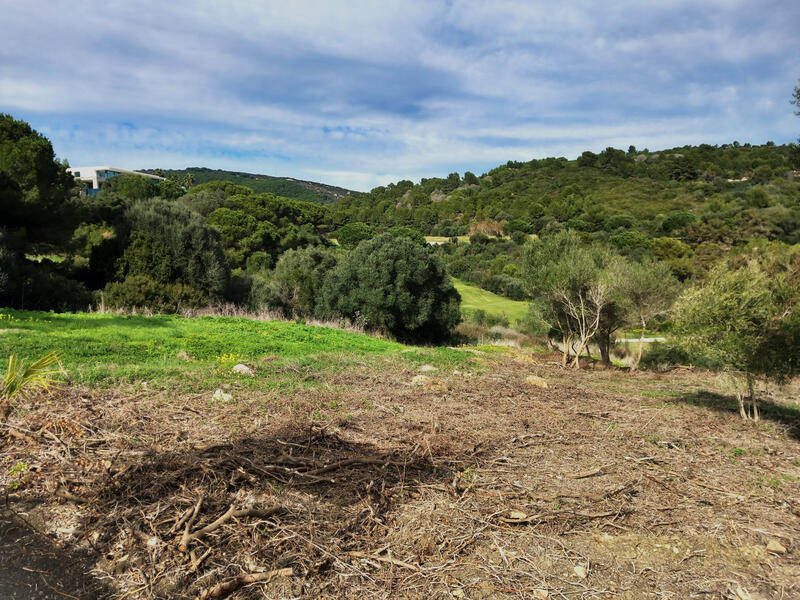 Terrenos en venta