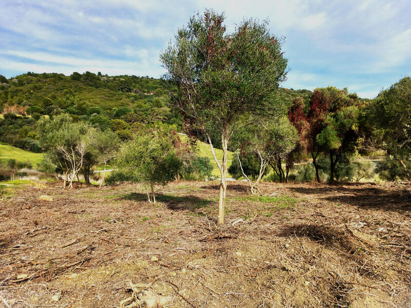 Terrain à vendre