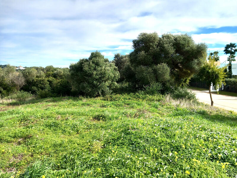 Terrain à vendre