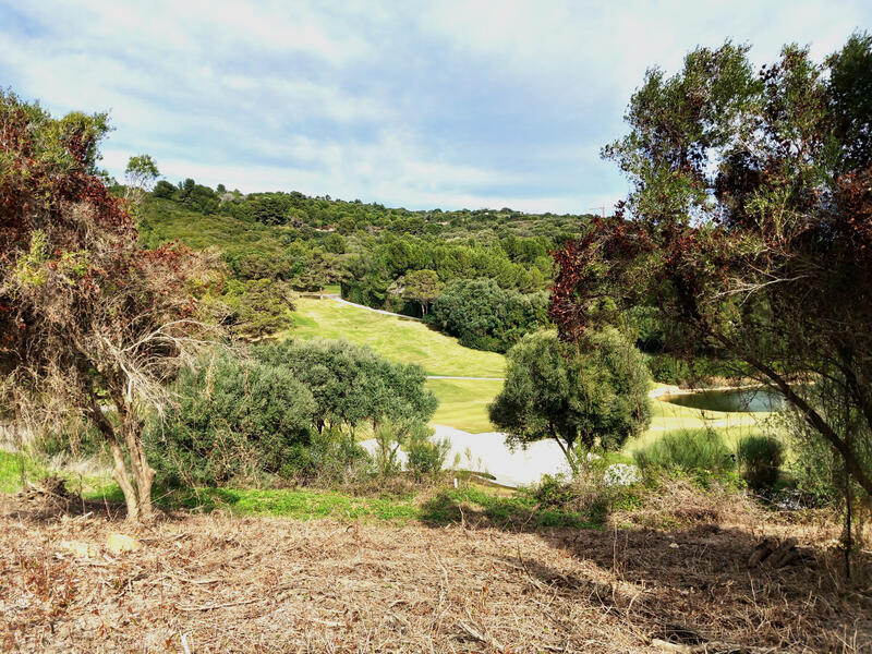 Terrenos en venta