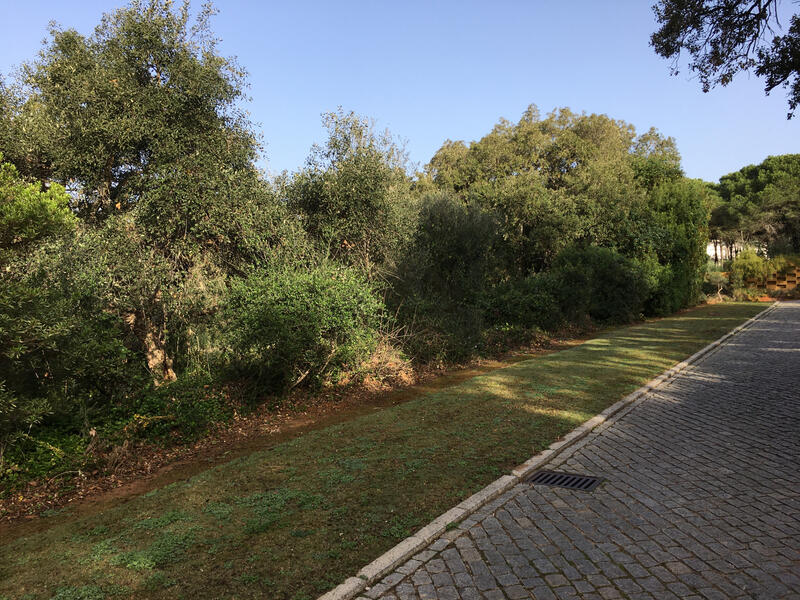 Land til salgs i Sotogrande, Cádiz